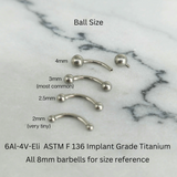 Titanium Internally Threaded Curved Barbell