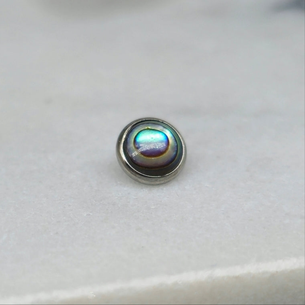 Natural Abalone Shell Dermal Top