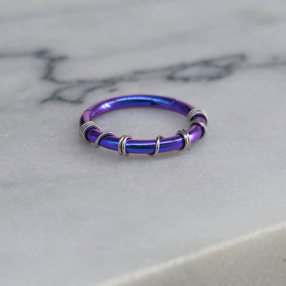 Silver Banded Blue-Purple (Blurple) Anodized Titanium Hinged Segment Clicker