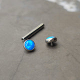 14g Blue Opal Bezel Set Straight Barbell