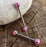 Titanium Pink Claw Set Opal Barbells in 14g