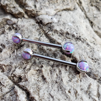 Titanium Purple Claw Set Opal Barbells in 14g